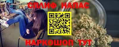 СК Будённовск