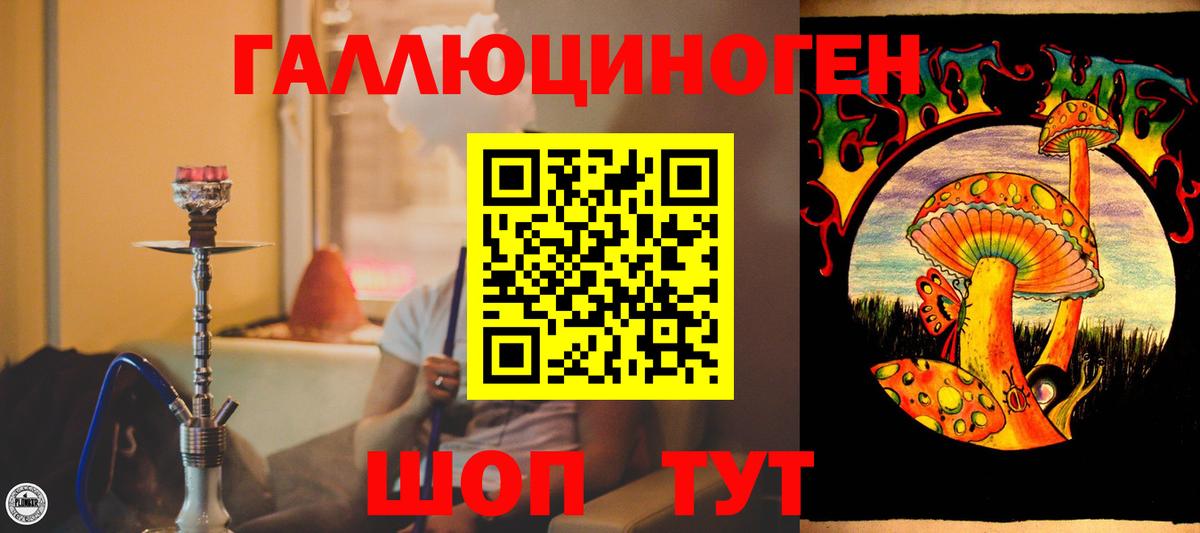 Галлюциногенные грибы Psilocybe  Галлюциногенные грибы прущие грибы  Москва  Вход с VPN 